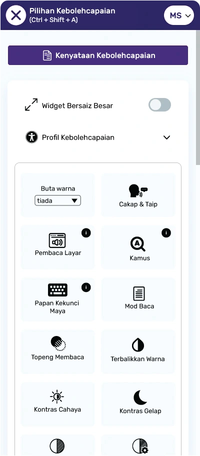 All in One Accessibility Features Preview
