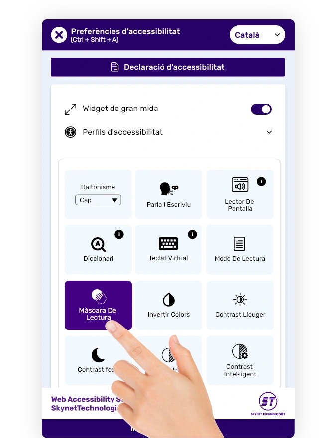Accessibilitat del lloc web