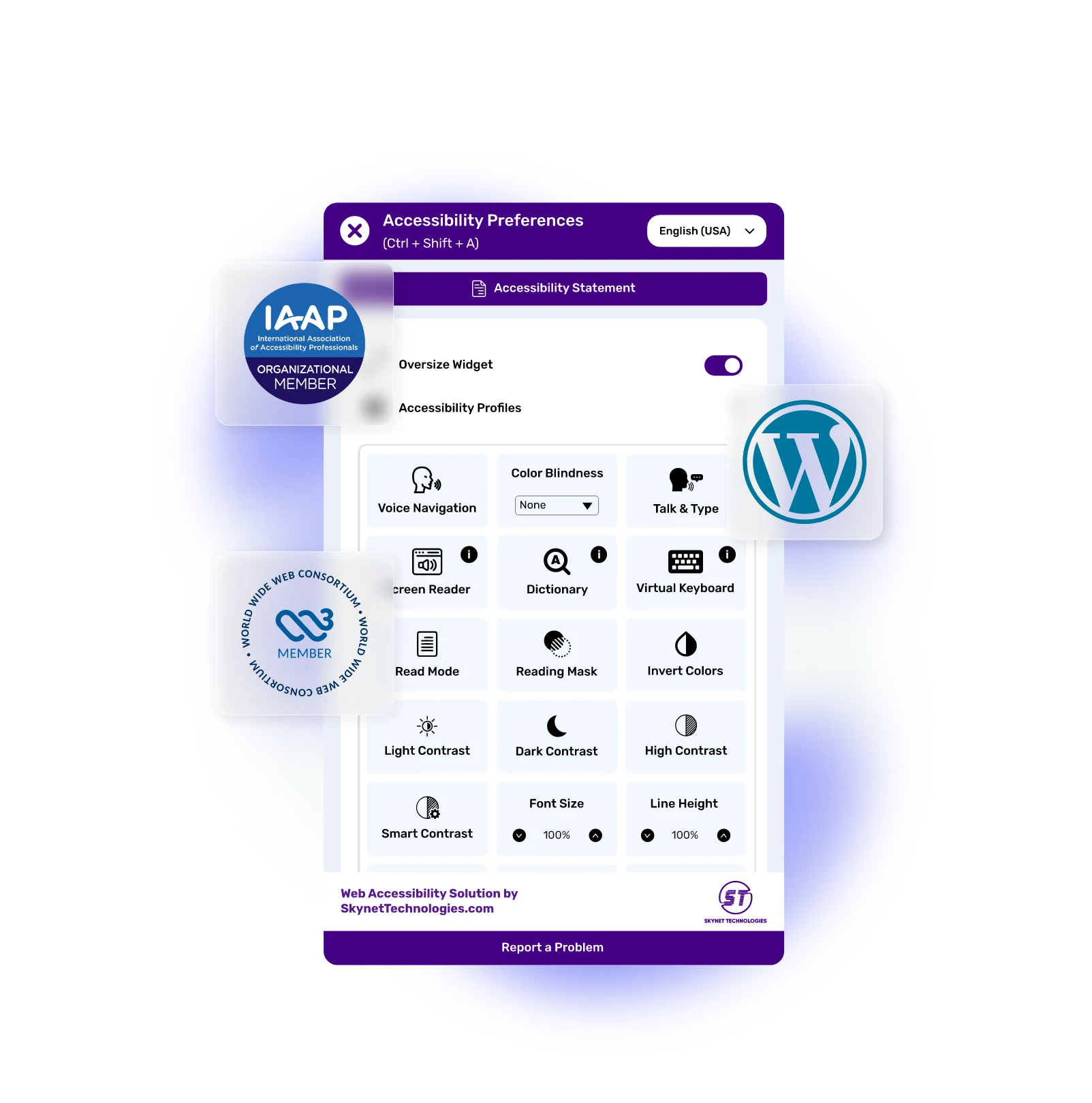 WordPress Accessibility Plugin
