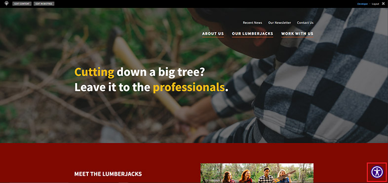 bigtreecms ada web accessibility