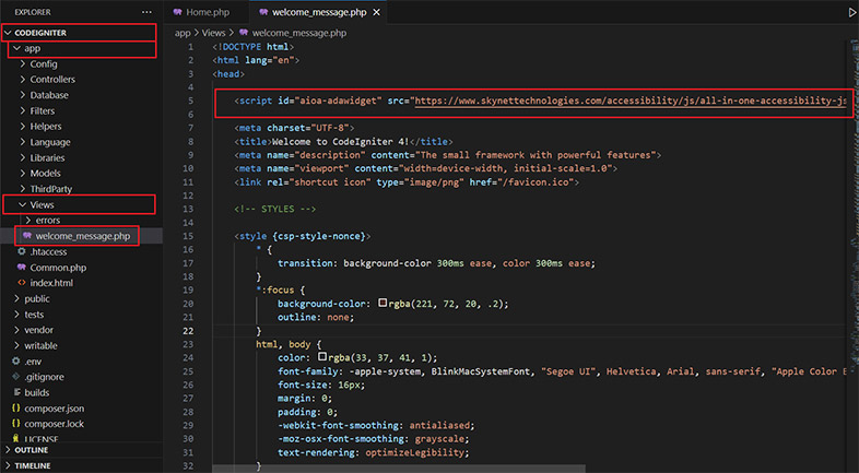 codeigniter website accessibility remediation
