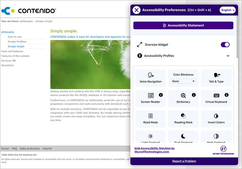 contenido accessible website design