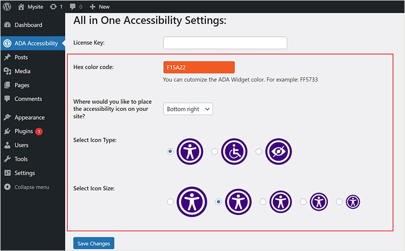 Settings on All in One Accessibility on dreamhost