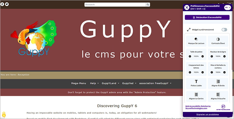 guppy ada website accessibility