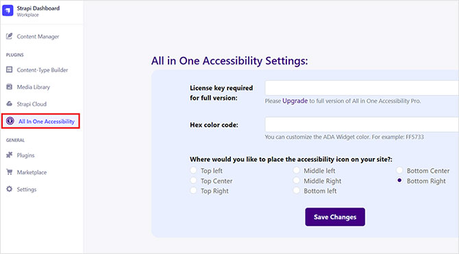 Strapi web accessibility widget installation - All In One Accessibility