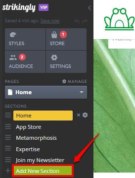 Strikingly ADA Compliance widget installation guide