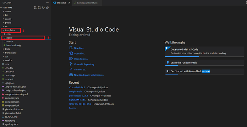 sulu website accessibility remediation