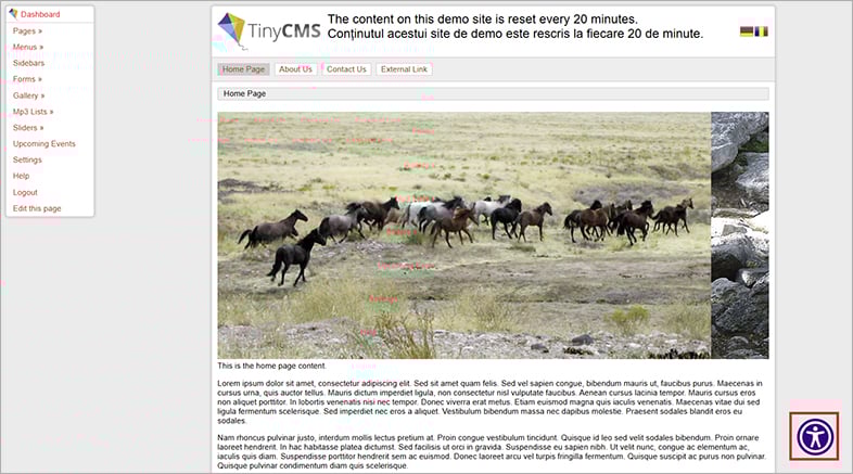 accessible tiny accessible website design