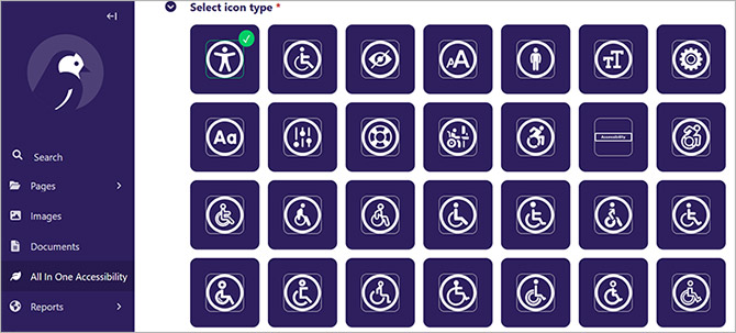 Wagtail web accessibility widget installation