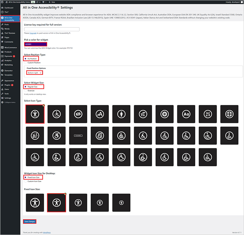 Settings on All in One Accessibility on WordPress