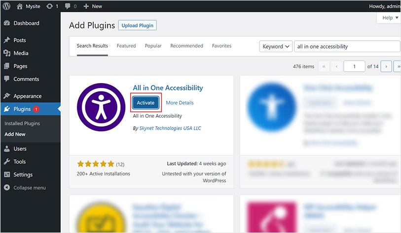 Activate All in One Accessibility Plugin on WordPress
