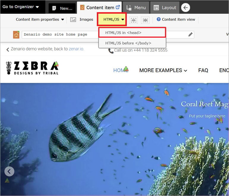 zenario ada website accessibility