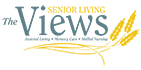 view theme logo