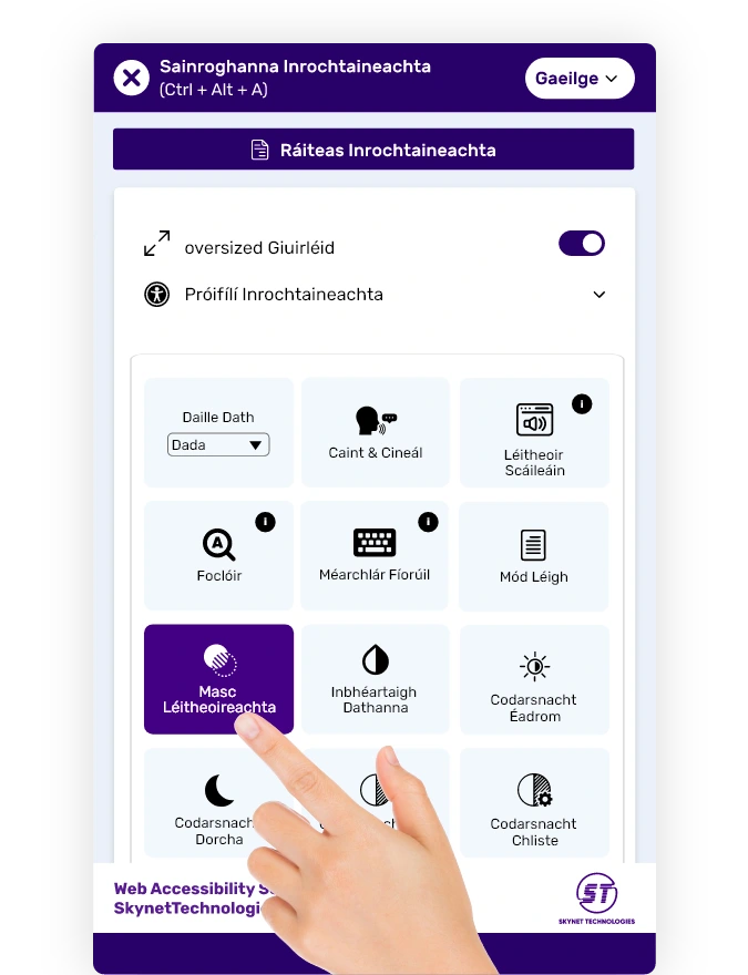 Irish website accessibility solution