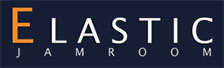 elastic theme logo