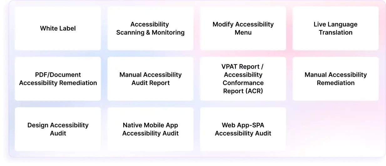 Grid of twelve boxes with services listed including 'White Label', 'Accessibility Scanning & Monitoring', 'Modify Accessibility Menu' and more, on a gradient background