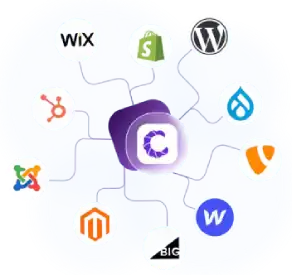 Website platform compatibility icons surrounding a central accessibility tool.