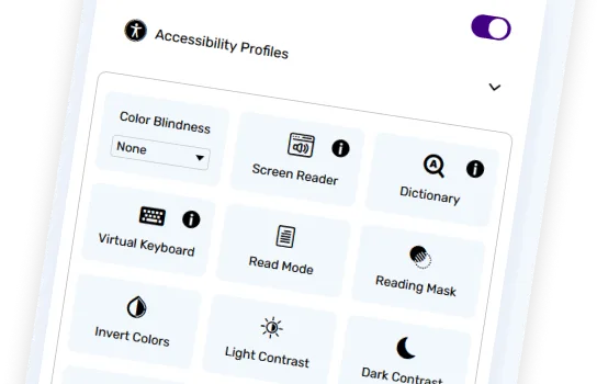 Website Accessibility Solutions