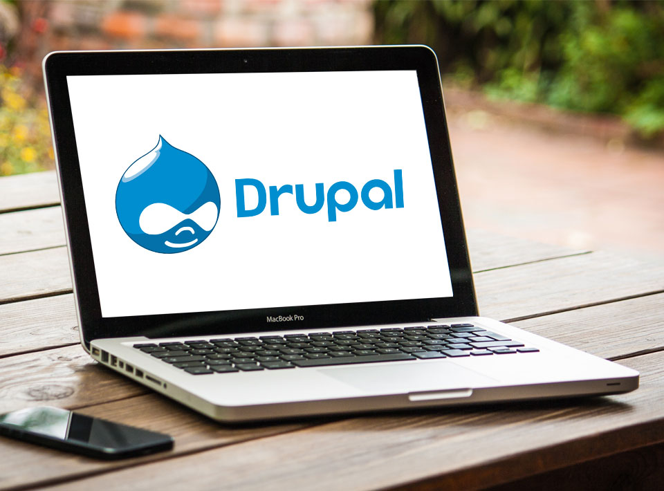 Hire Drupal Programmer