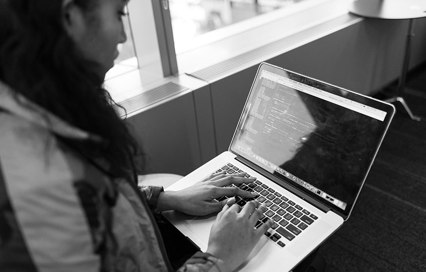Hire WordPress Developer