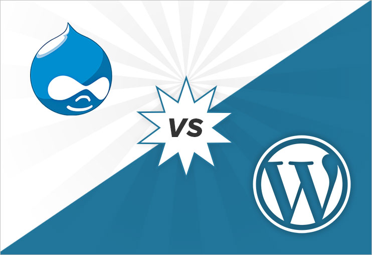 drupal wordpress development