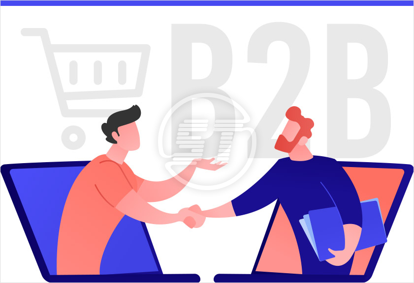 B2B Ecommerce Development