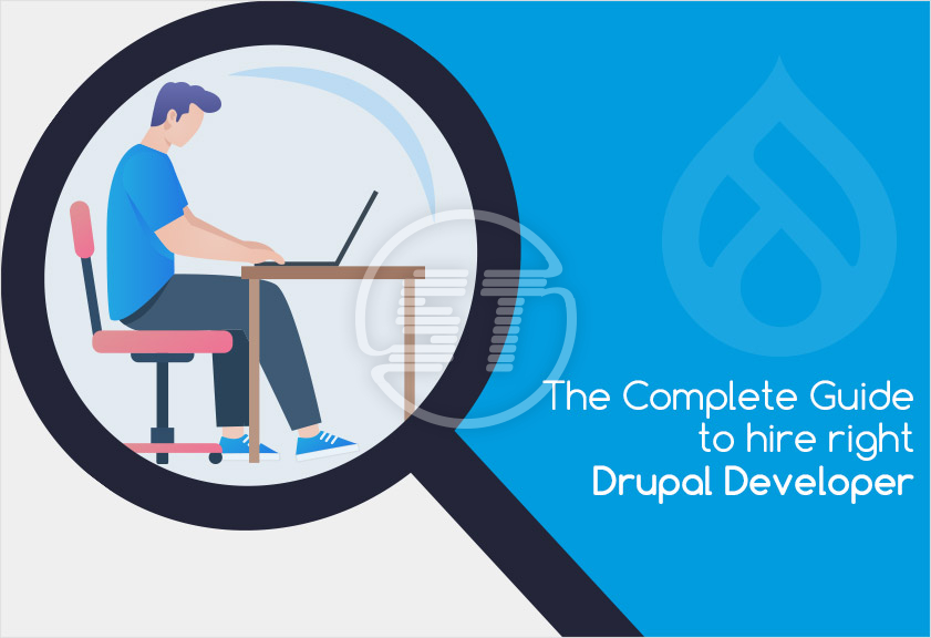 Drupal Developer