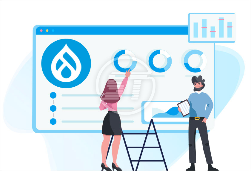 Drupal Site Audit