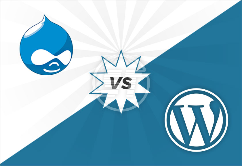 Drupal WordPress Development