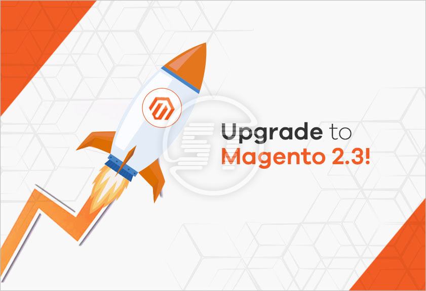 Upgrade Ecommerce Store to Magento 2.3 – Skynet Technologies USA LLC