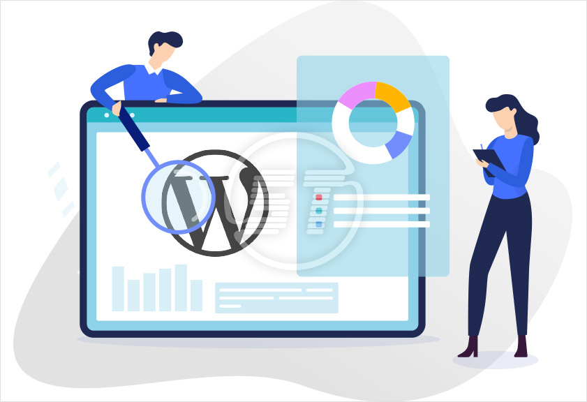 WordPress Site Audit