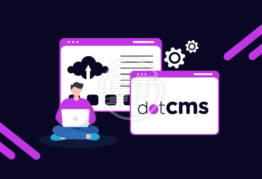 Dot CMS web accessibility widget