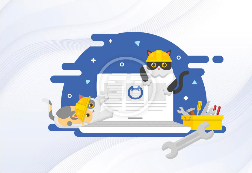 netcat web accessibility widget