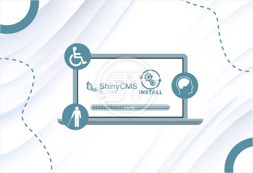 shiny cms web accessibility widget