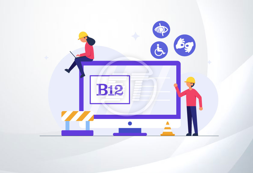 b12 web accessibility widget