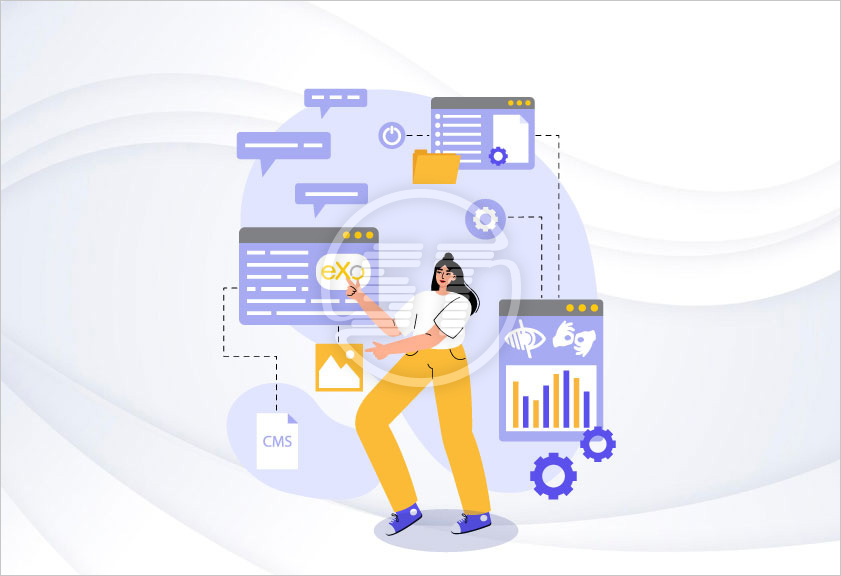 EXO web accessibility widget