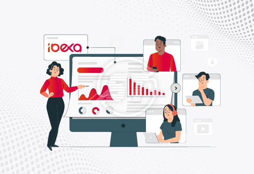 Ibexa web accessibility widget