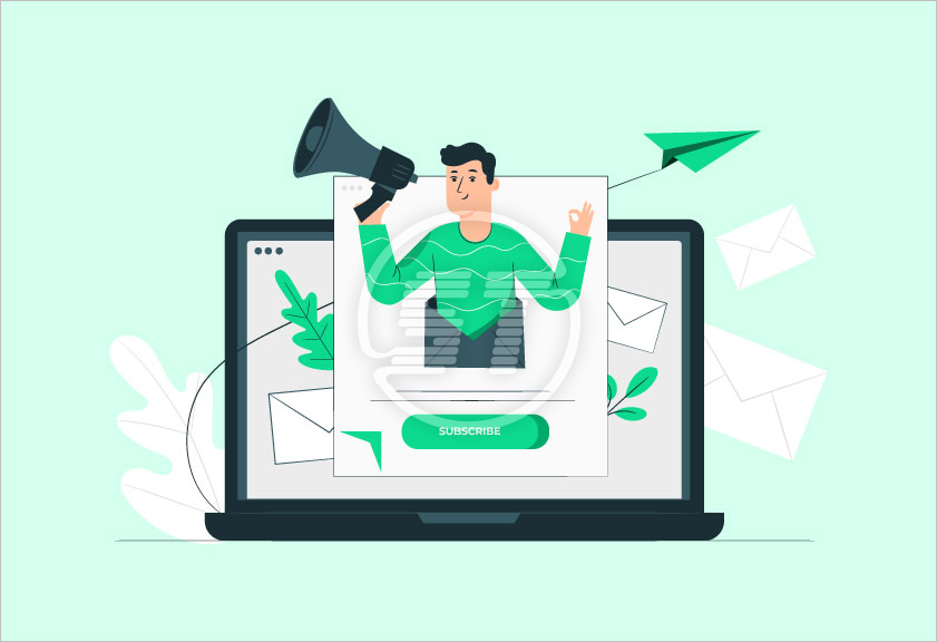 Plecto web accessibility installation