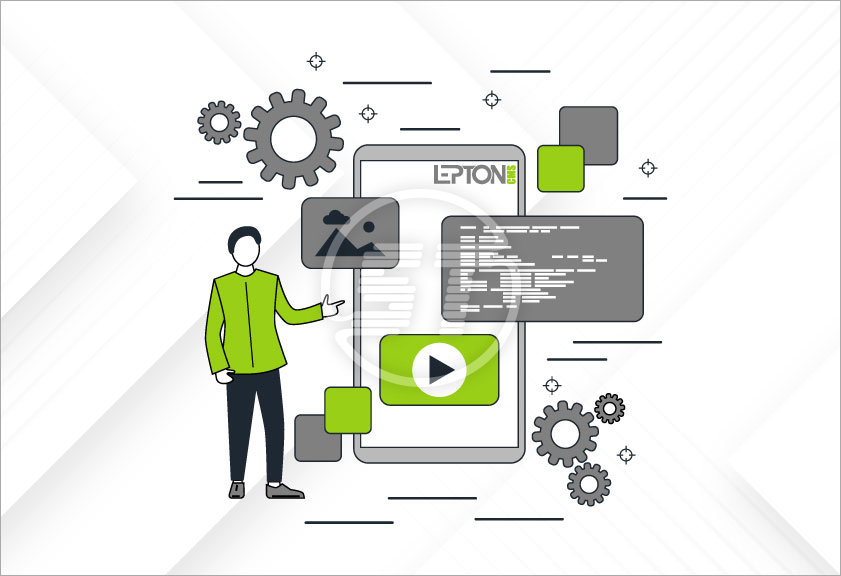 Lepton web accessibility installation