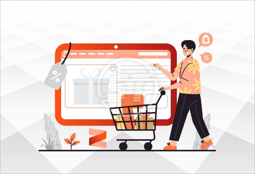 Zegashop web accessibility widget
