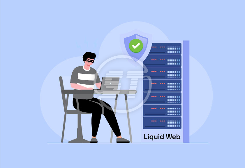 Liquid Web web accessibility widget