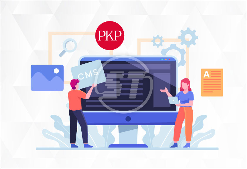 PKP web accessibility widget