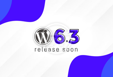 WordPress 6.3