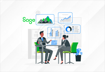 Sage web accessibility widget