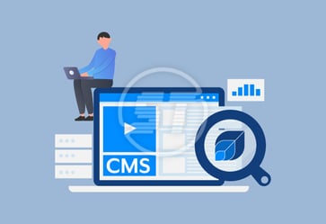 Sitetriks web accessibility widget