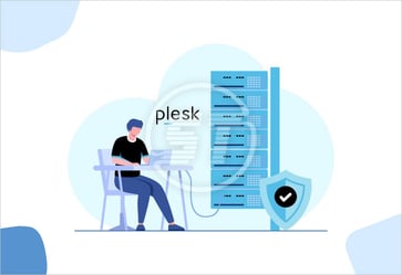 Plesk web accessibility widget