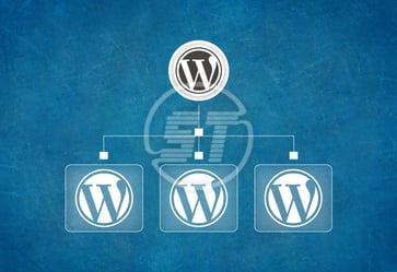  WordPress multisite accessibility 