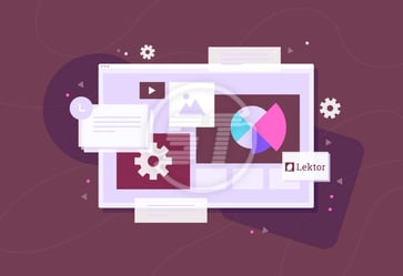 Lektor web accessibility widget