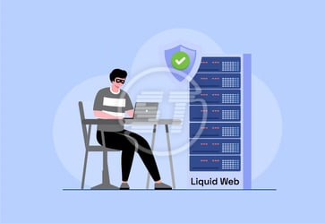 Liquid Web web accessibility widget
