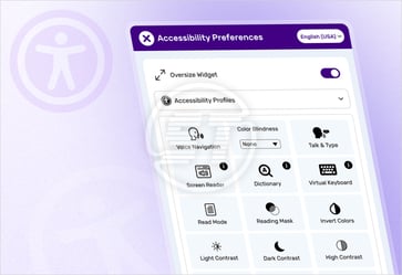 install website accessibility widget